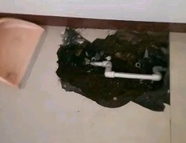 饶平卫生间测漏水多少钱